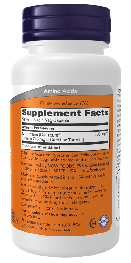 L-Carnitine Supplement