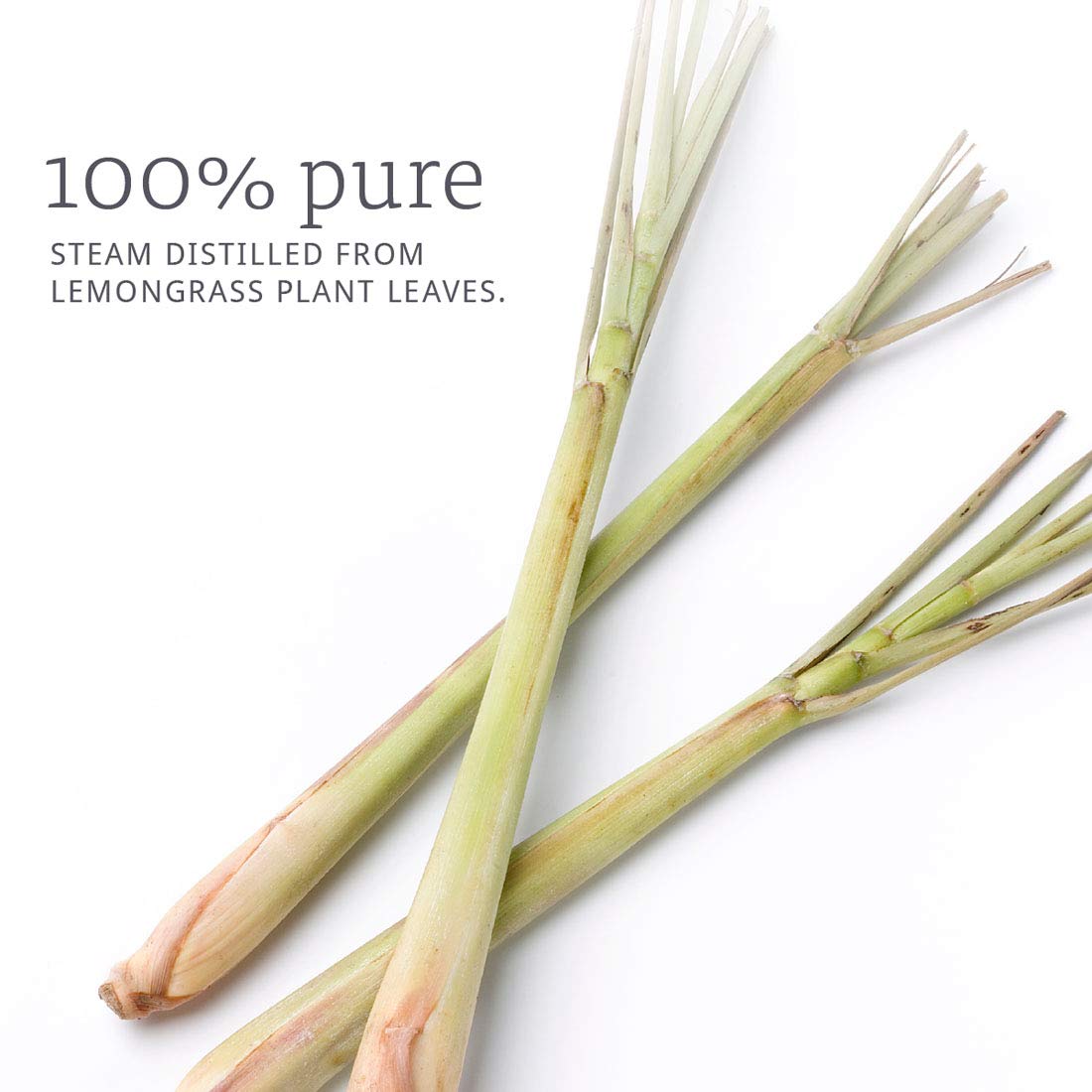 Pure Lemongrass Essential Oil