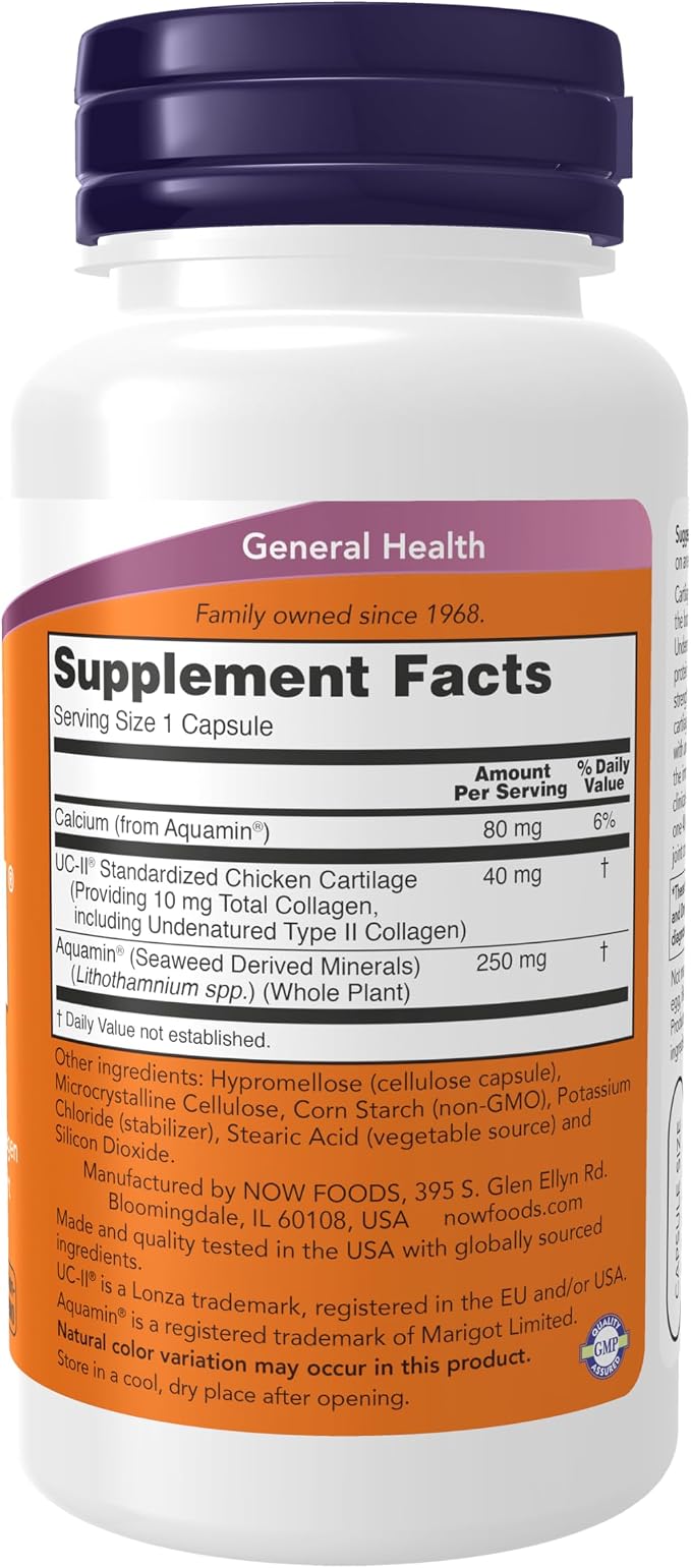 Undenatured Collagen Supplement
