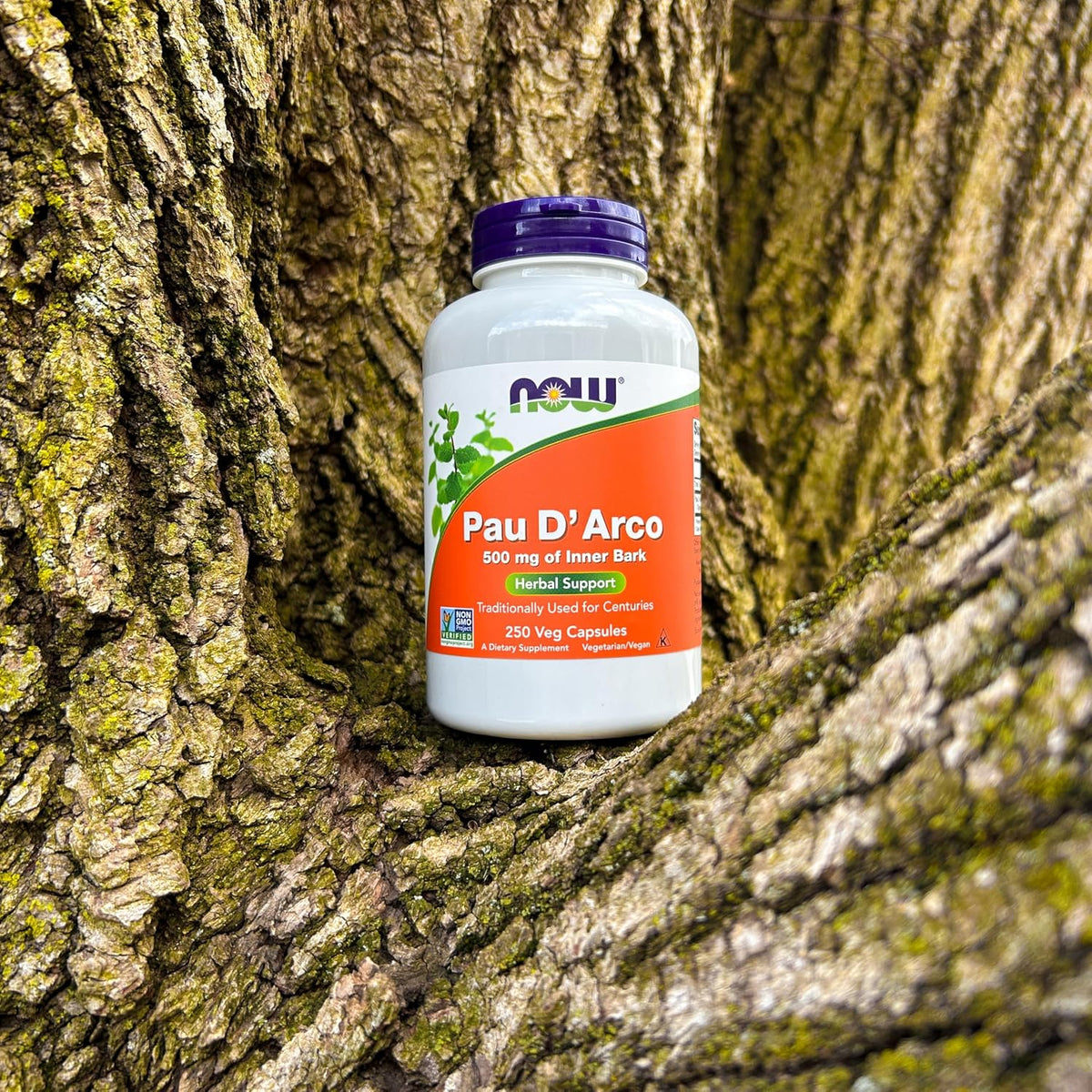Traditional Herbal Support