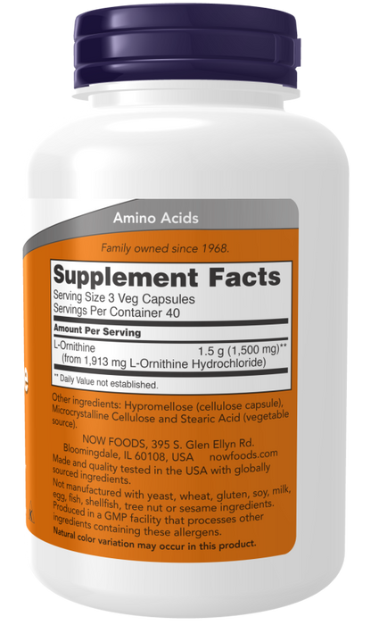 Protein Metabolism Support
