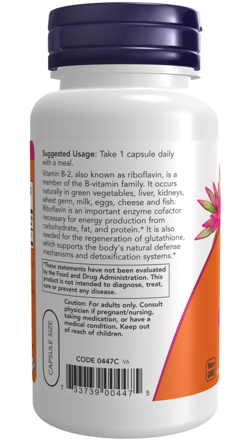 NOW B-2 100 mg dietary supplement bottle with 100 veg capsules