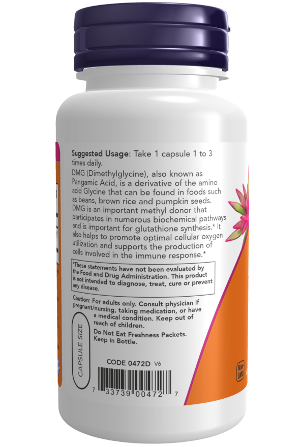 DMG Supplement