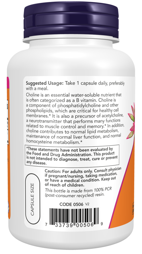 Nervous System Support
