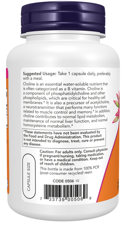 Nervous System Support