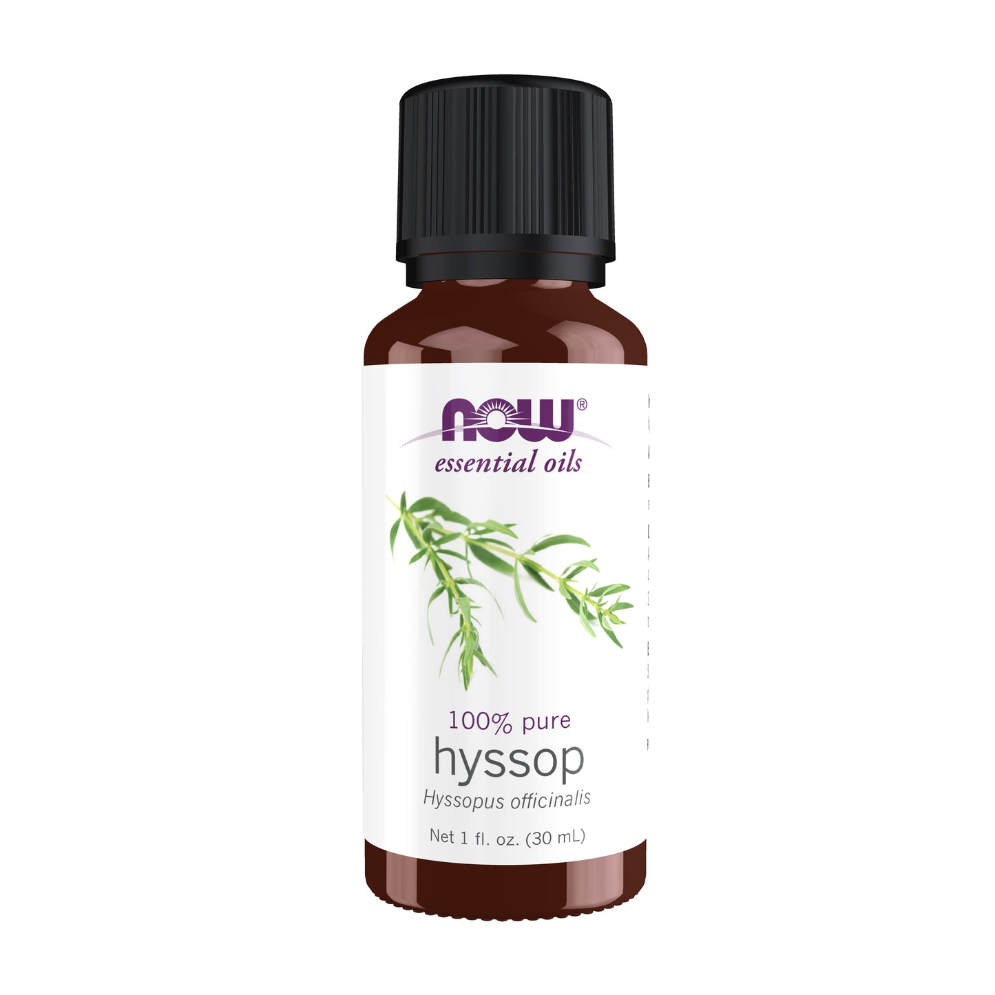 Hyssop Oil - 1 oz.
