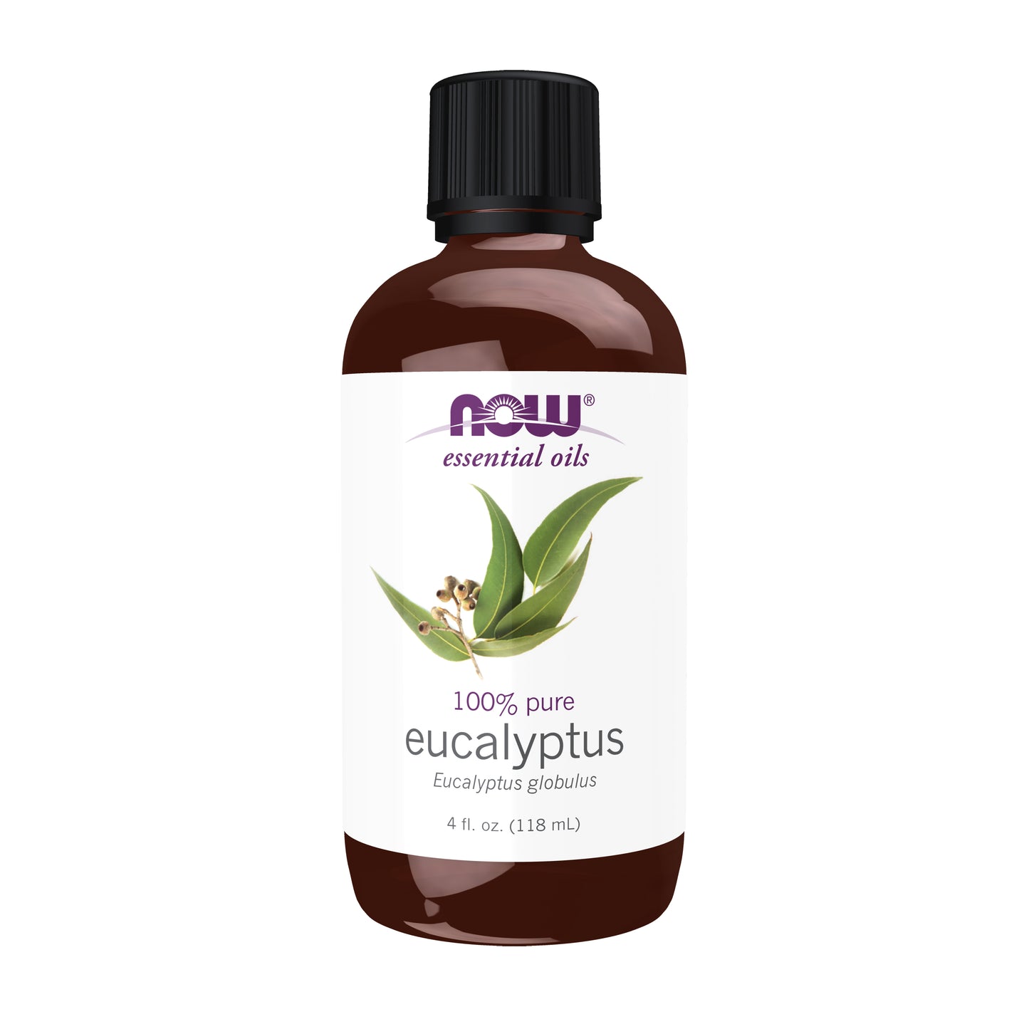Eucalyptus Globulus Oil - 4 fl. oz.