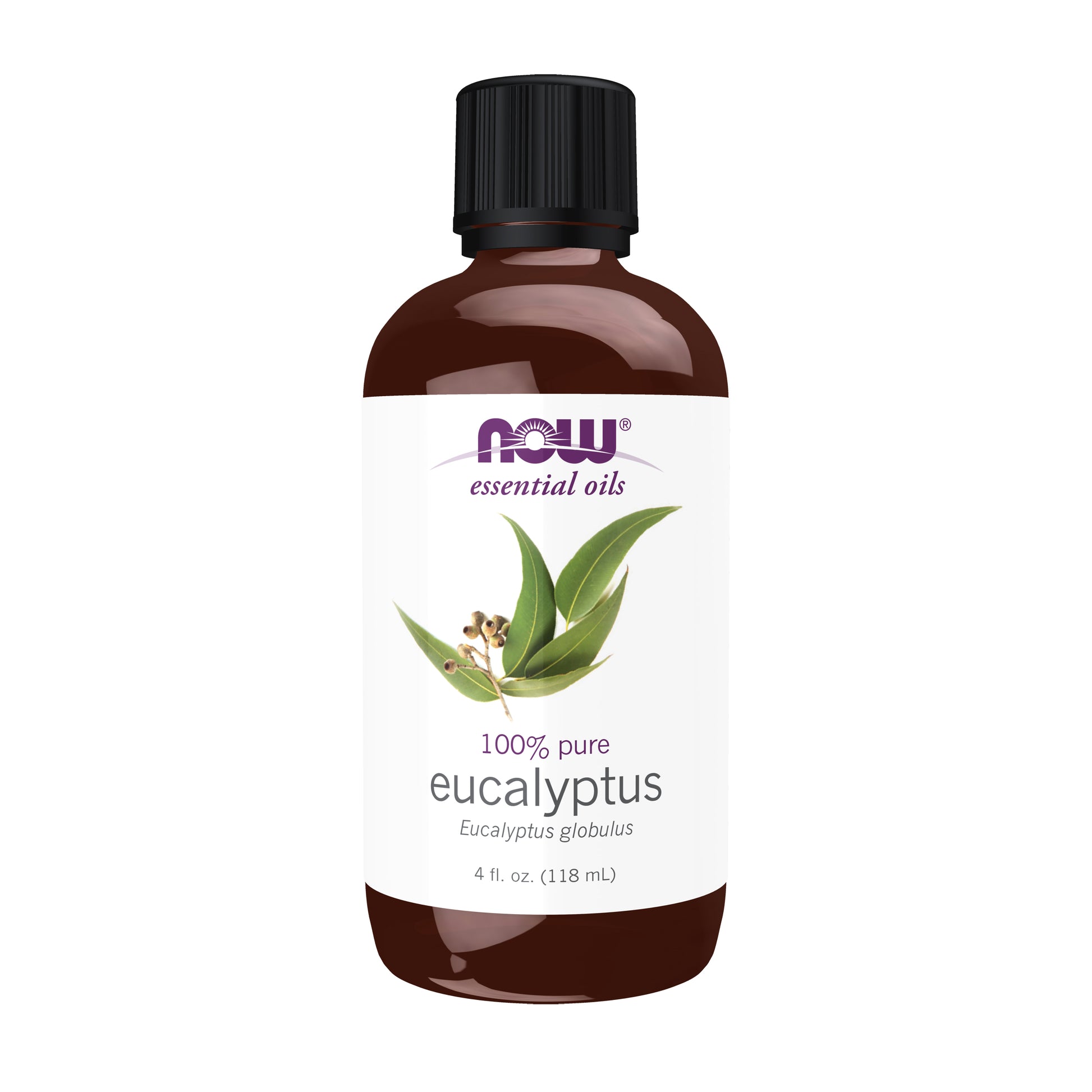 Eucalyptus Globulus Oil - 4 fl. oz.
