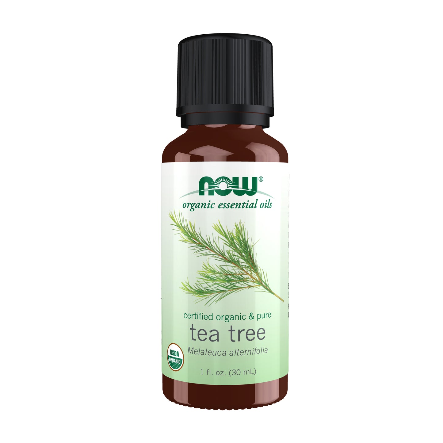 Tea Tree Oil, Organic - 1 fl. oz.