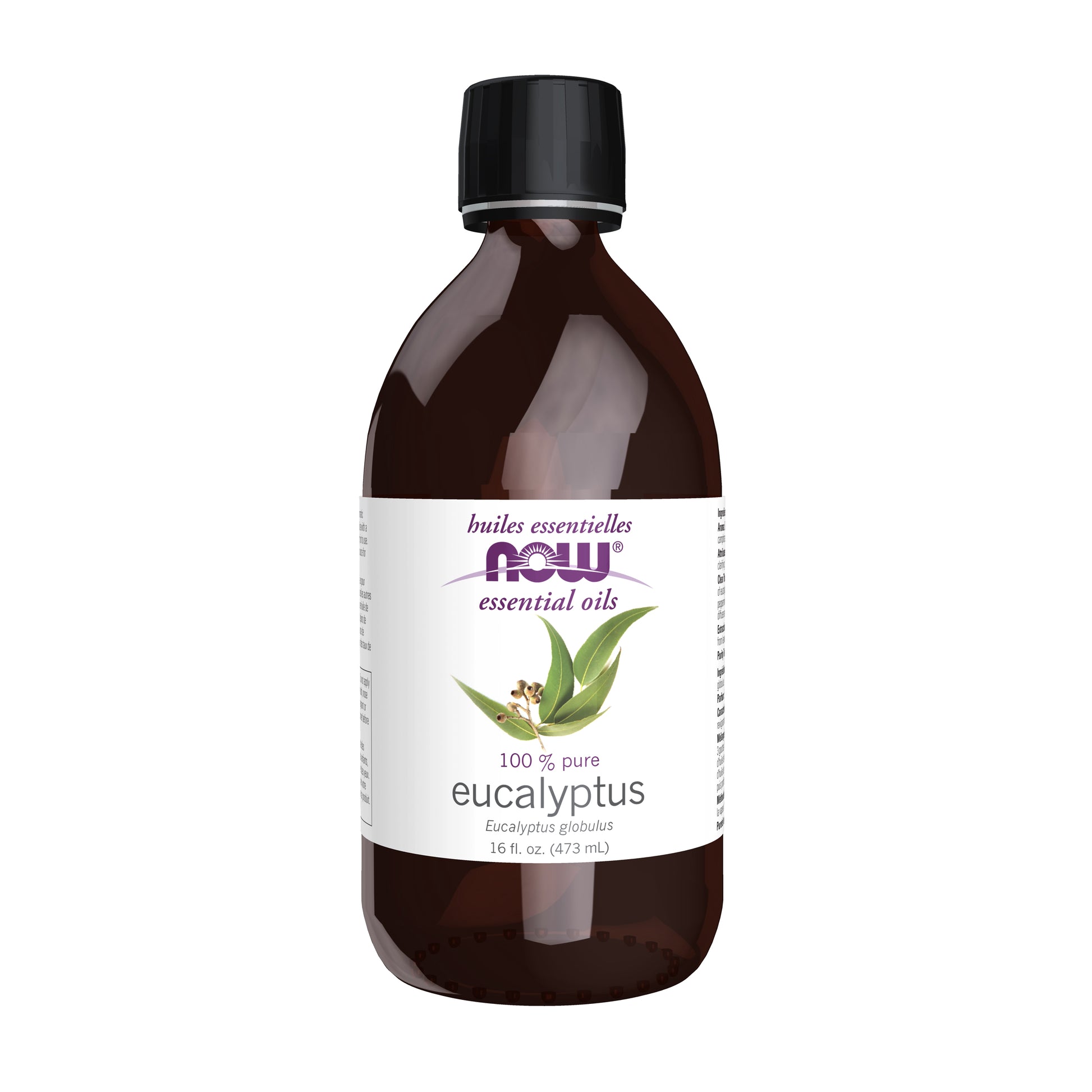Eucalyptus Globulus Oil - 16 fl. oz.