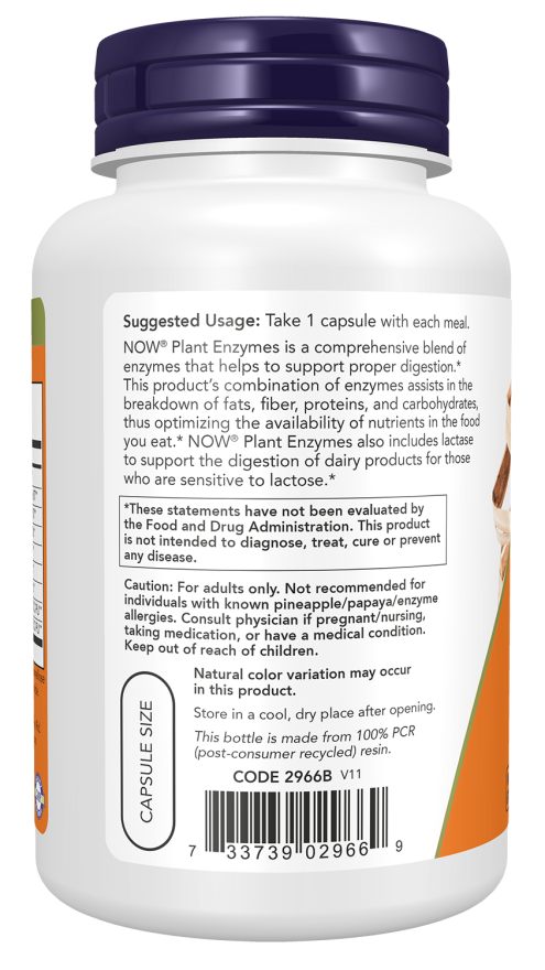 NOW Plant Enzymes digestive support supplement