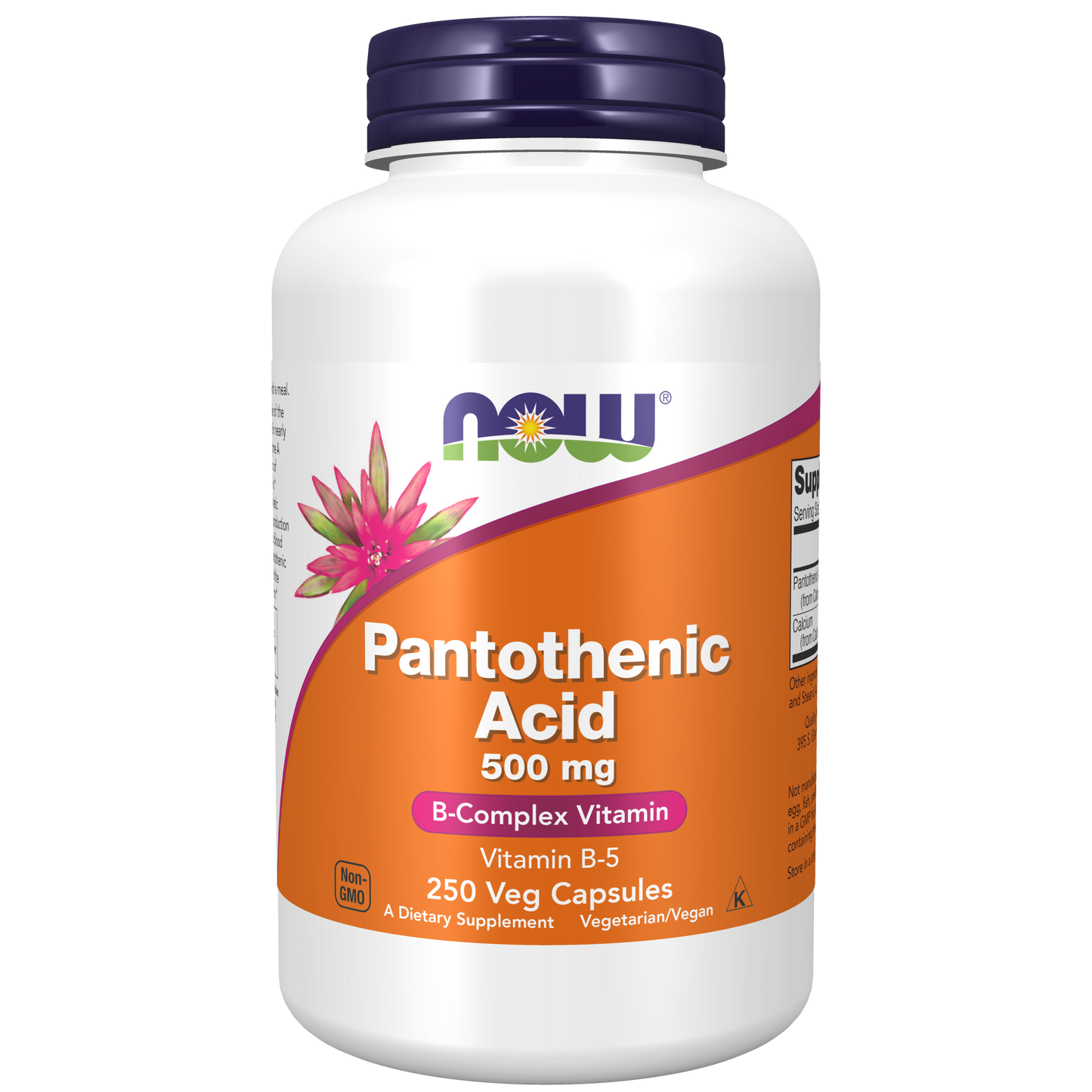 NOW Foods,  Pantothenic Acid 500 mg - 250 Veg Capsules