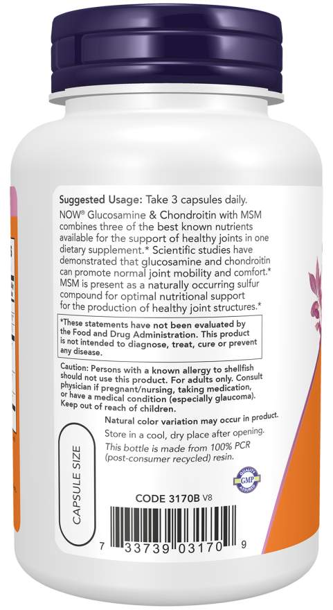 Glucosamine Chondroitin MSM