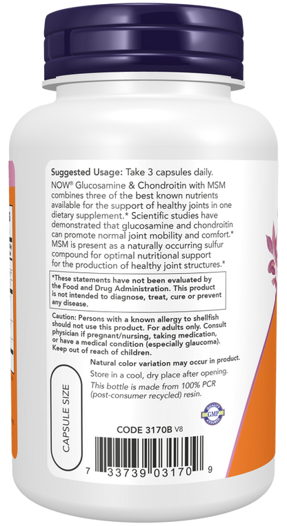 Glucosamine Chondroitin MSM
