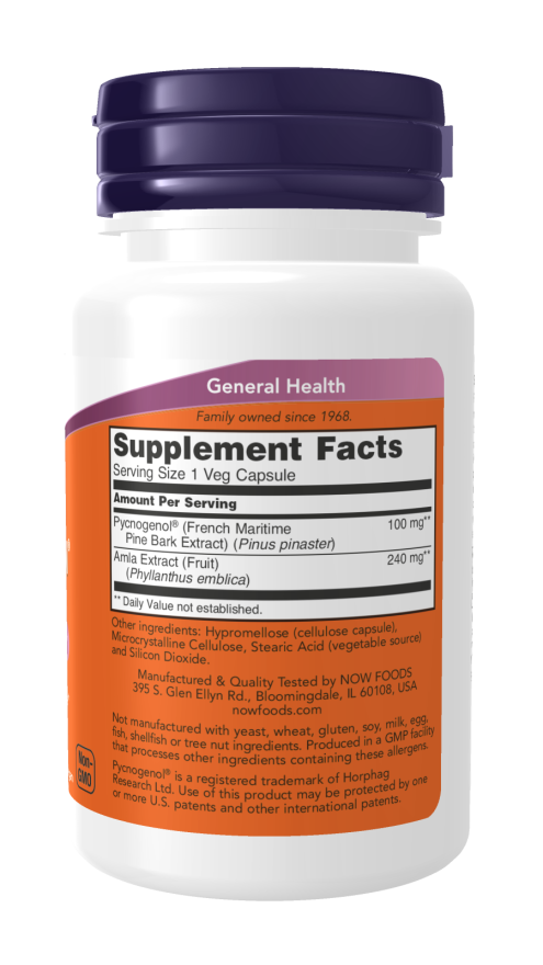 NOW Pycnogenol 100 mg free radical scavenger supplement