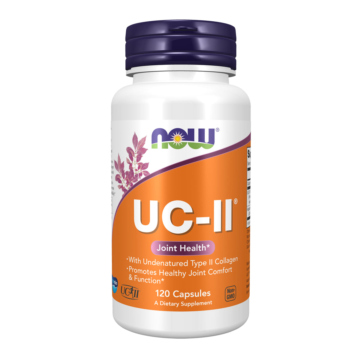 UC-II® Type II Collagen - 120 Capsules