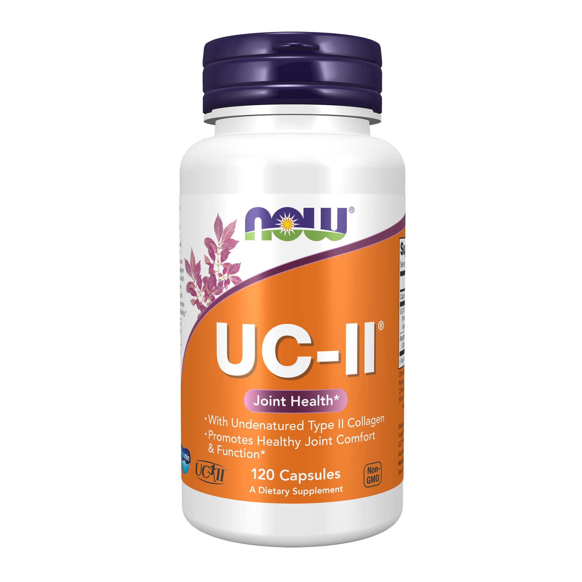 UC-II® Type II Collagen - 120 Capsules