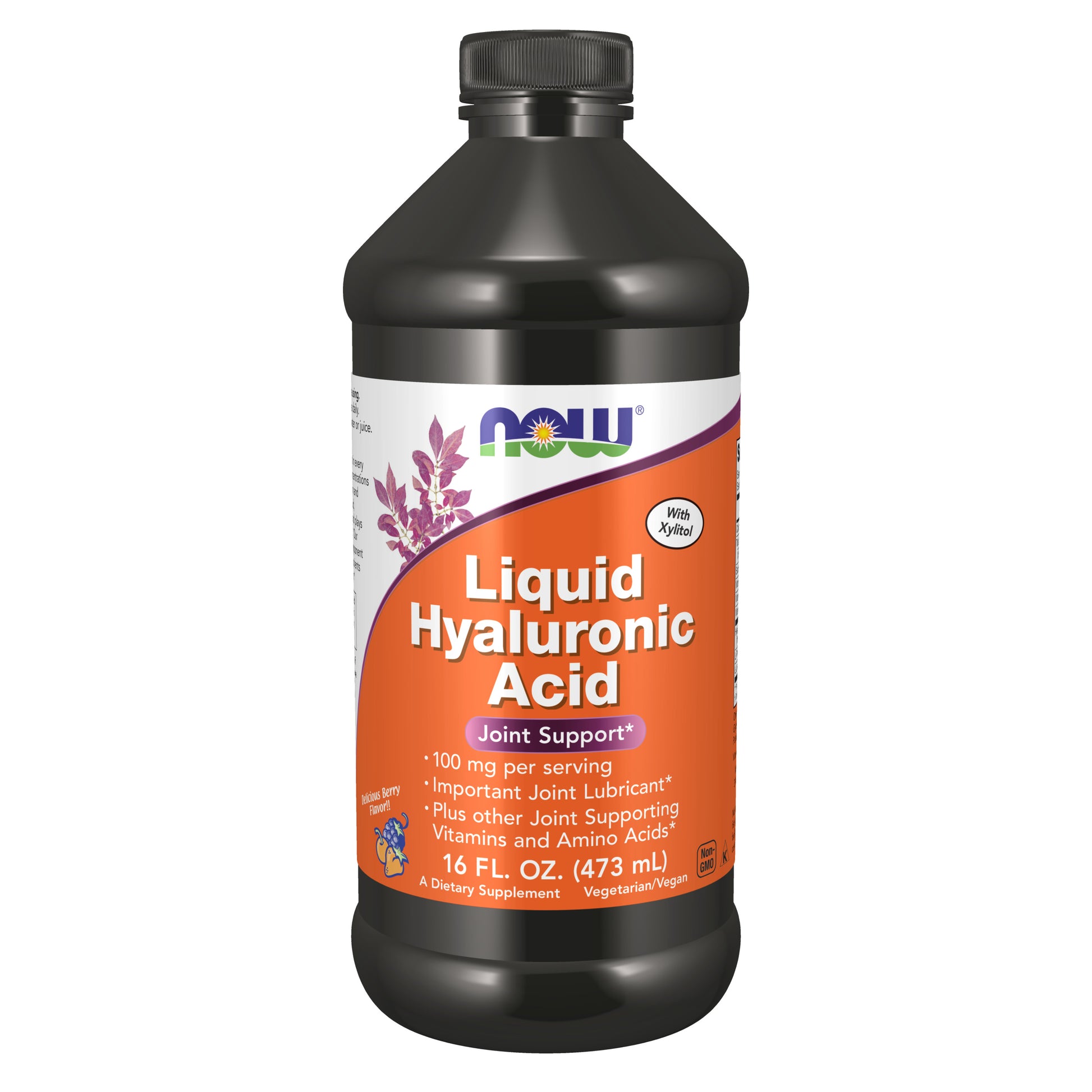 Hyaluronic Acid 100 mg Liquid - 16 fl. oz.