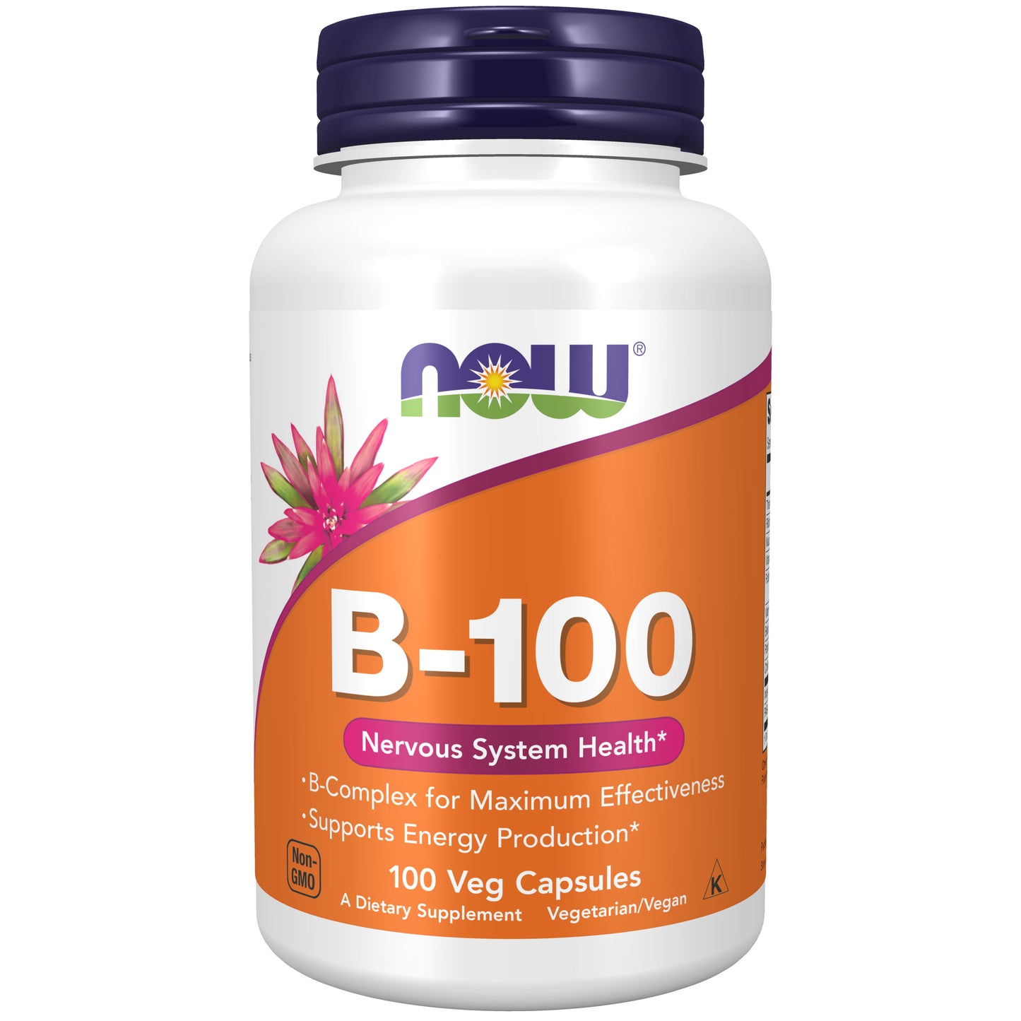 Vitamin B-100 - 100 Veg Capsules