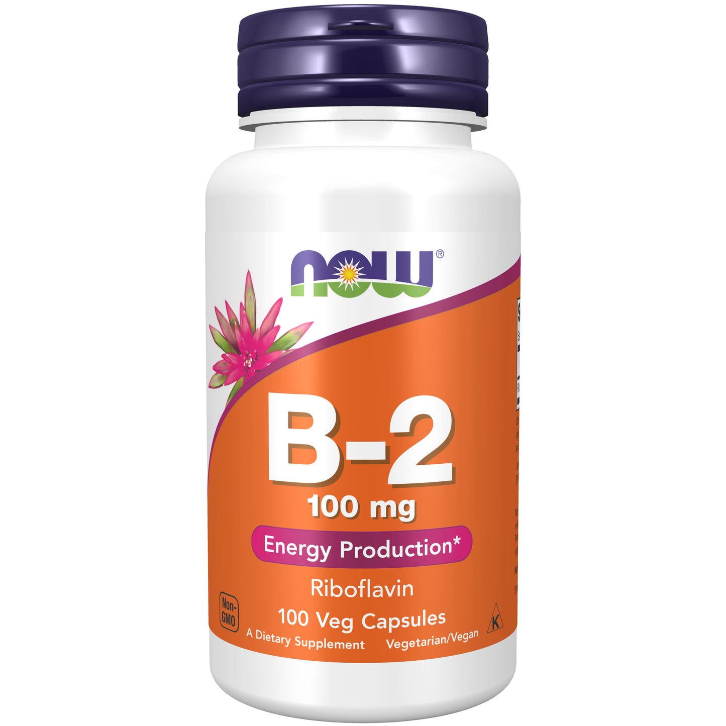 Vitamin B-2 100 mg - 100 Veg Capsules