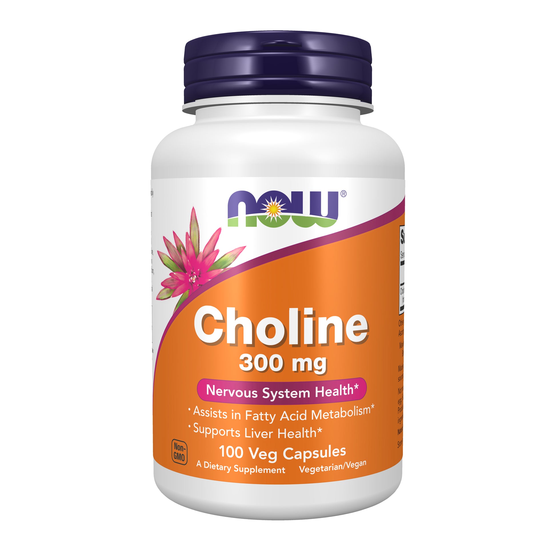 Choline 300 mg, Nervous System Health, 100 Veg Capsules