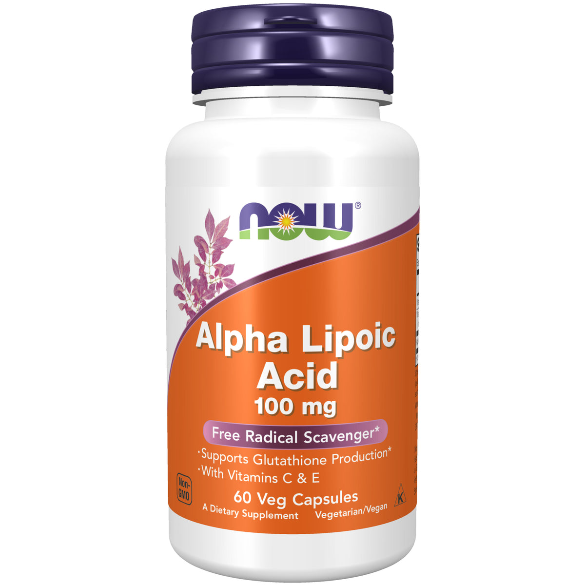 Alpha Lipoic Acid 100 mg - 60 Veg Capsules