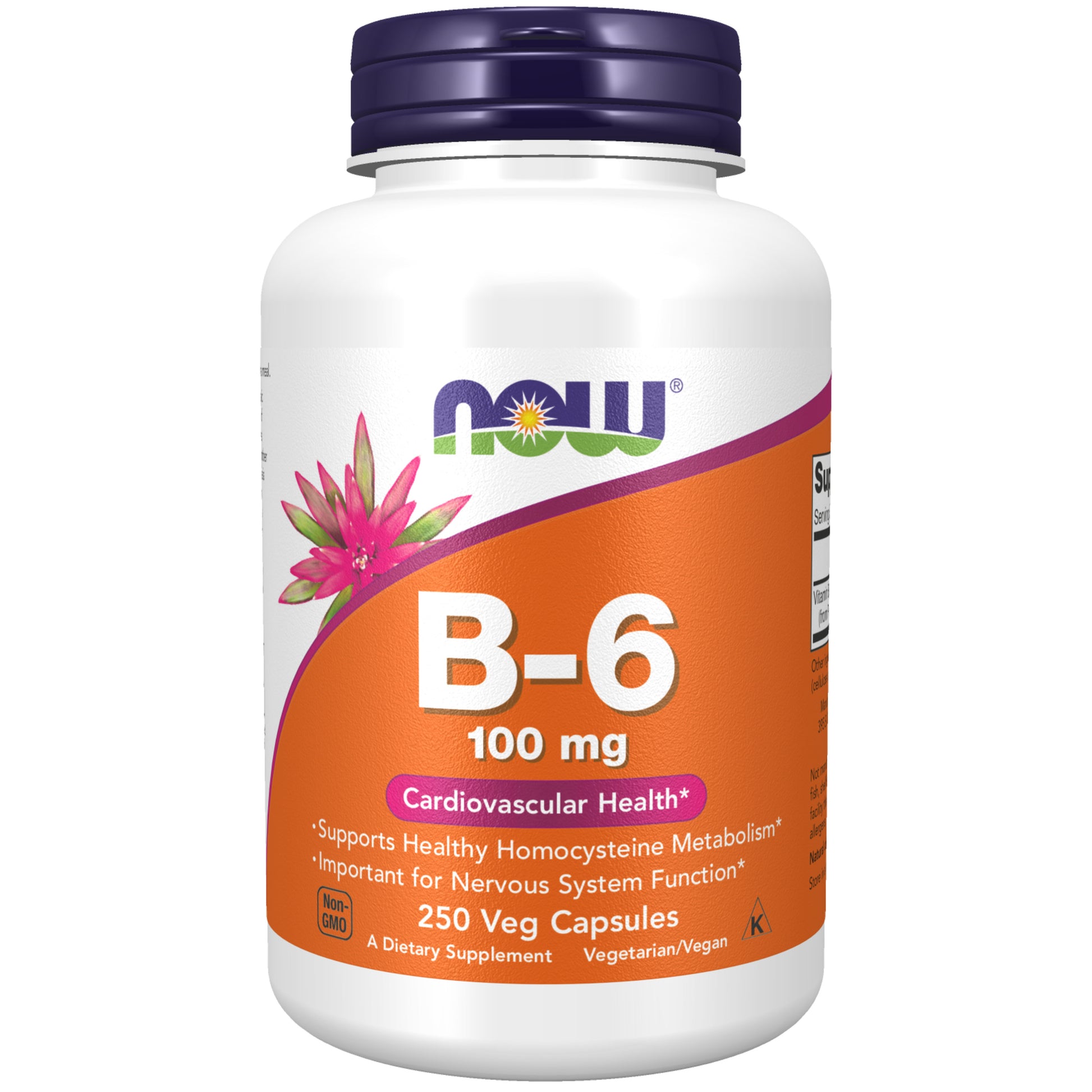 Vitamin B-6 100 mg - 250 Veg Capsules