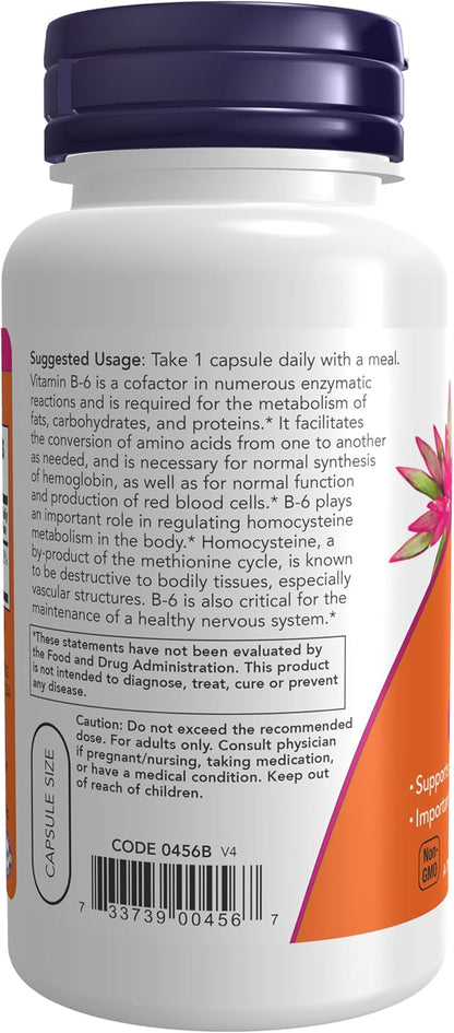 Vitamin B6 Supplement
