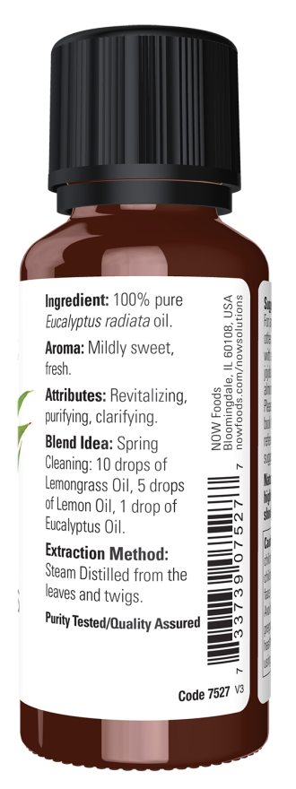 Eucalyptus Radiata Essential Oil