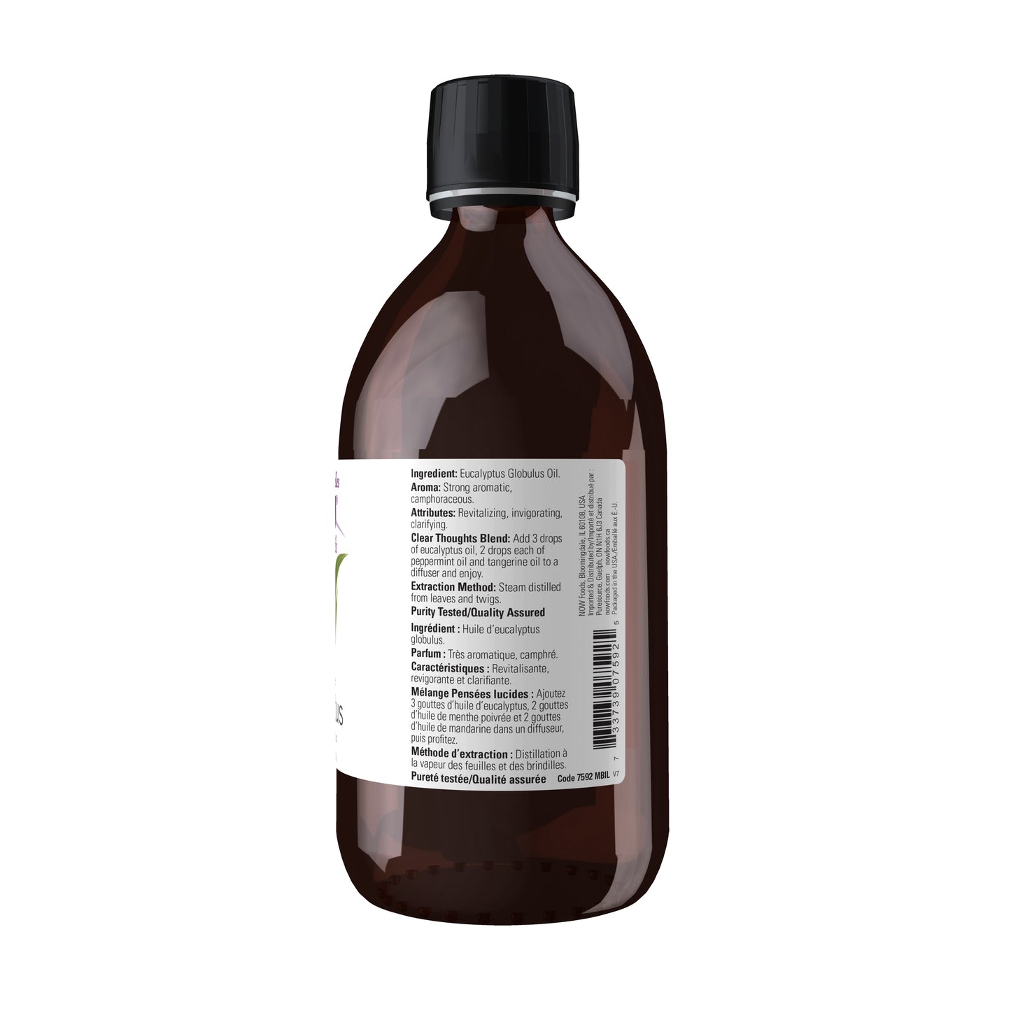 Eucalyptus Globulus Oil