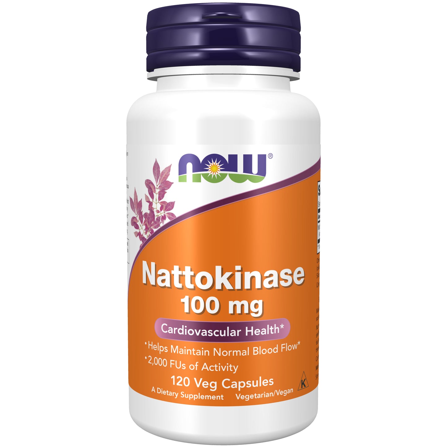 Nattokinase 100 mg - 120 Veg Capsules