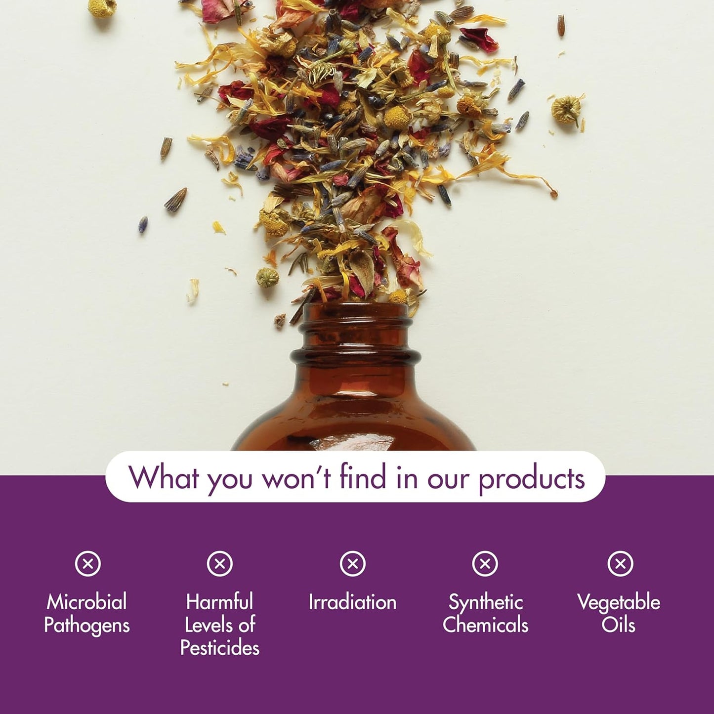 Star Anise Essential Oil