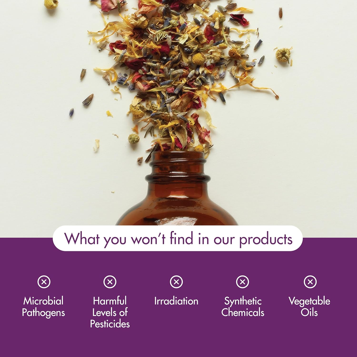 Star Anise Essential Oil
