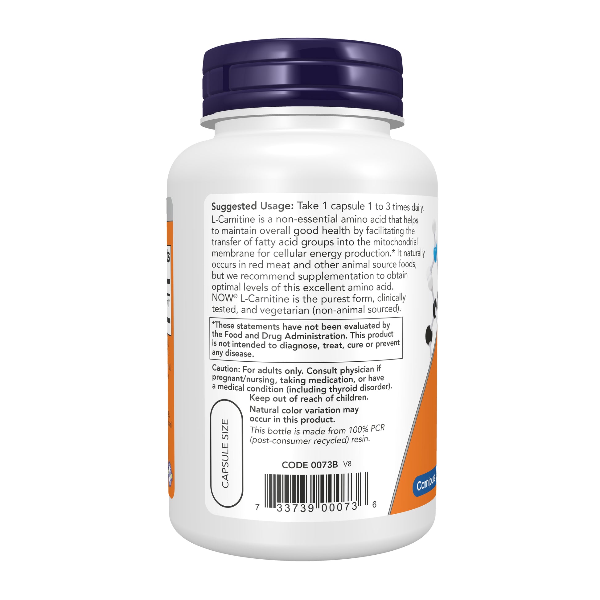 NOW L-Carnitine supplement for fitness support and active lifestyles