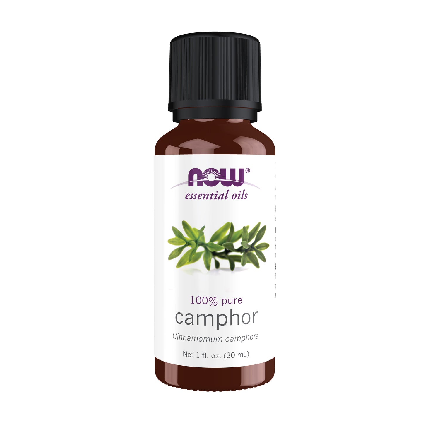 Camphor Oil - 1 fl. oz.