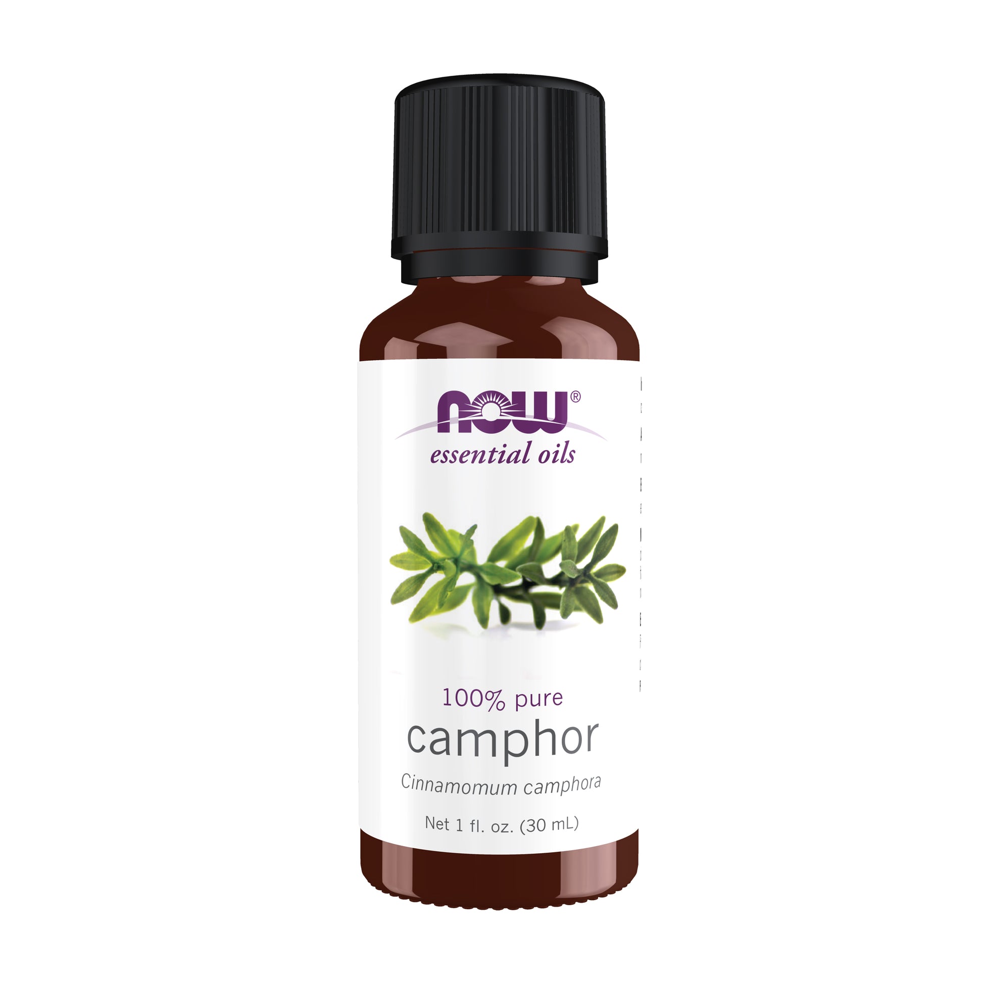 Camphor Oil - 1 fl. oz.
