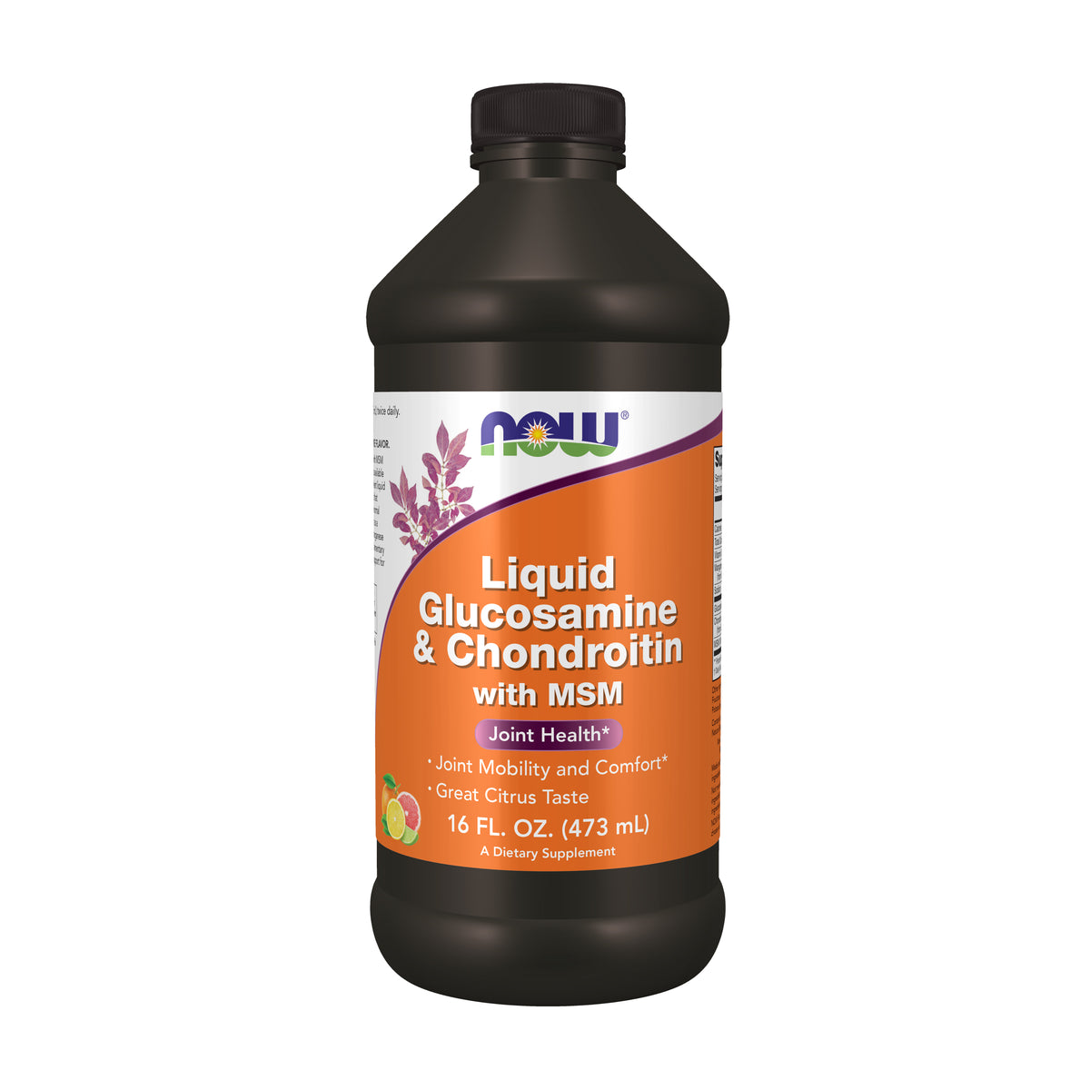 Liquid Glucosamine & Chondroitin with MSM - 16 fl. oz.
