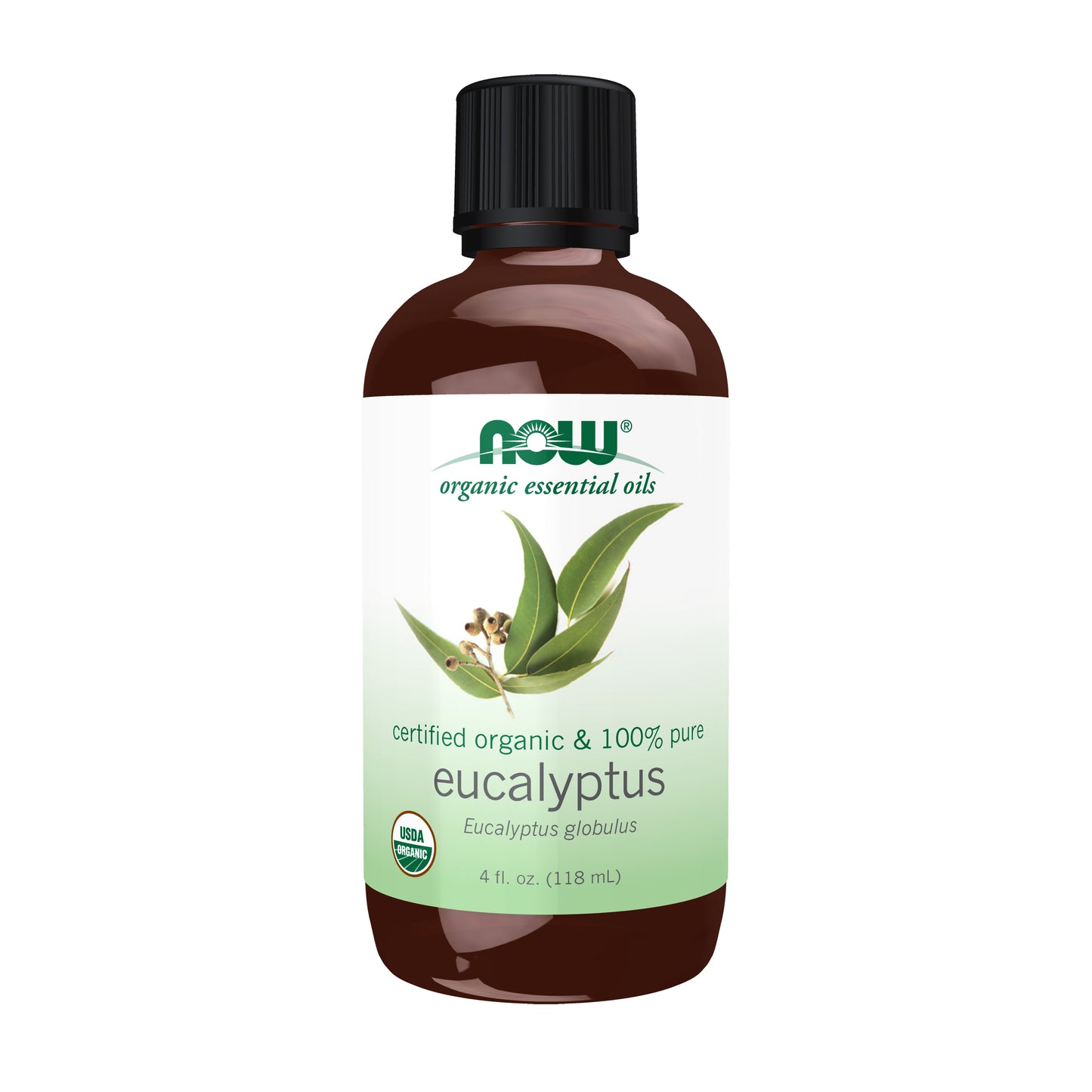 Eucalyptus Globulus Oil, Organic - 4 fl. oz.
