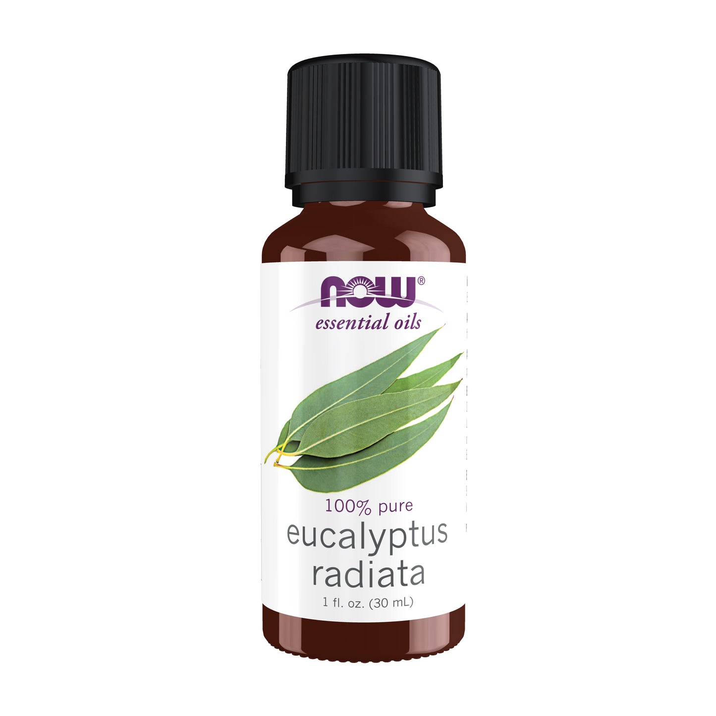 Eucalyptus Radiata Oil - 1 fl. oz.