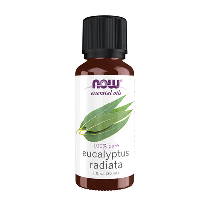 Eucalyptus Radiata Oil - 1 fl. oz.