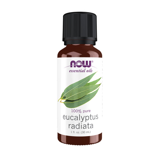 Eucalyptus Radiata Oil - 1 fl. oz.