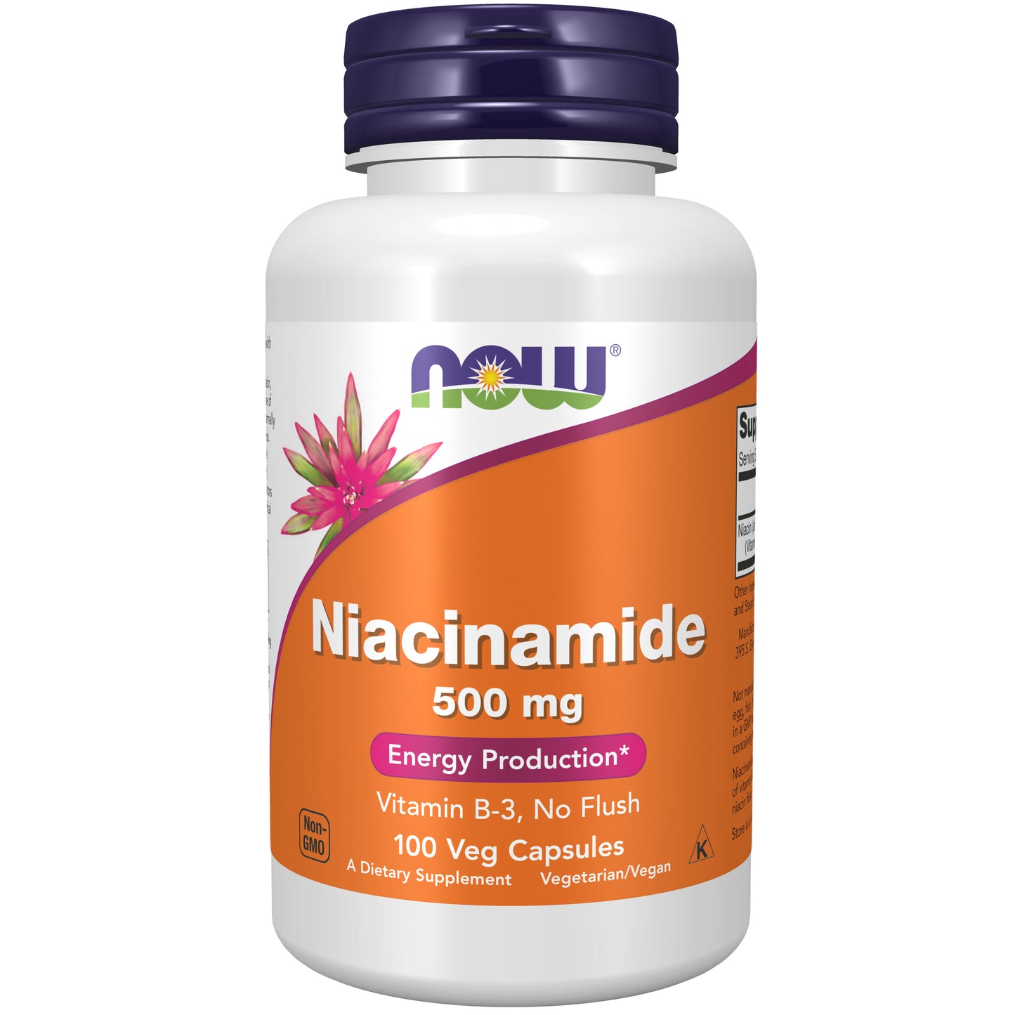 Niacinamide (B-3) 500 mg - 100 Veg Capsules