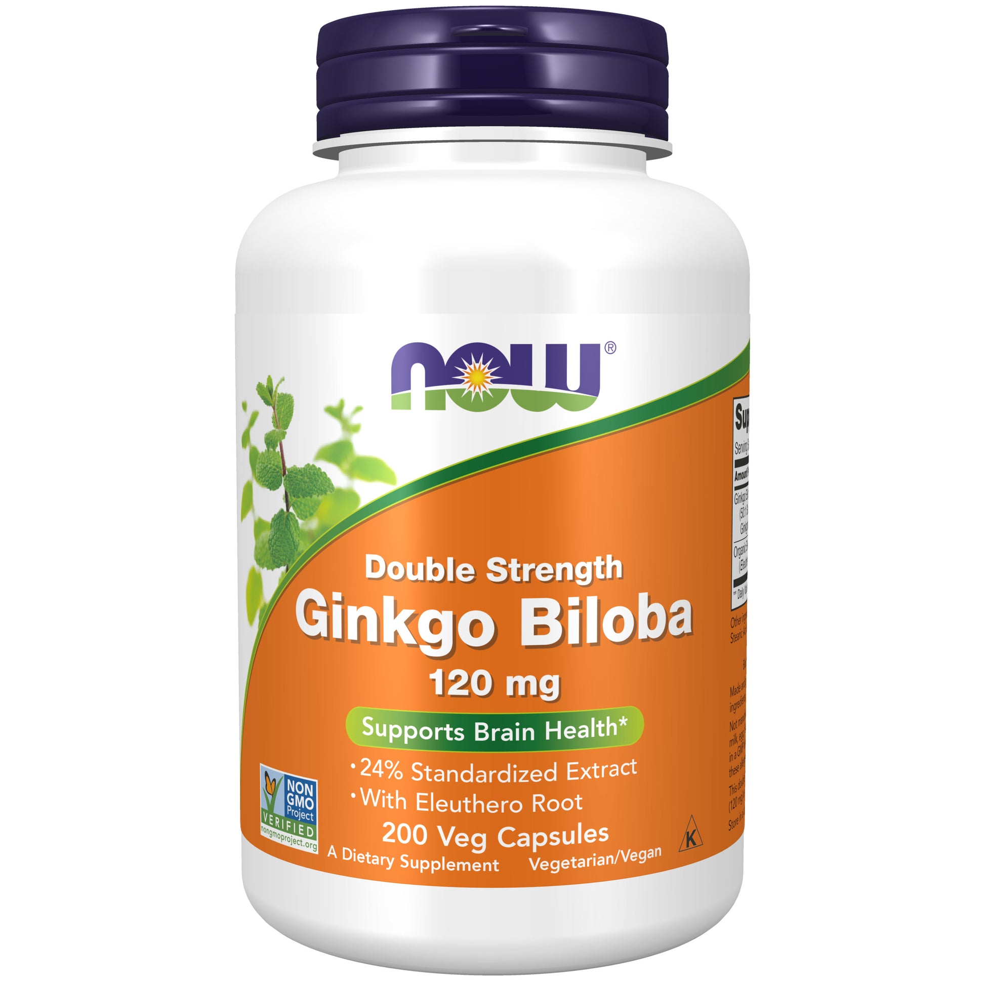 Ginkgo Biloba, Double Strength 120 mg - 200 Veg Capsules
