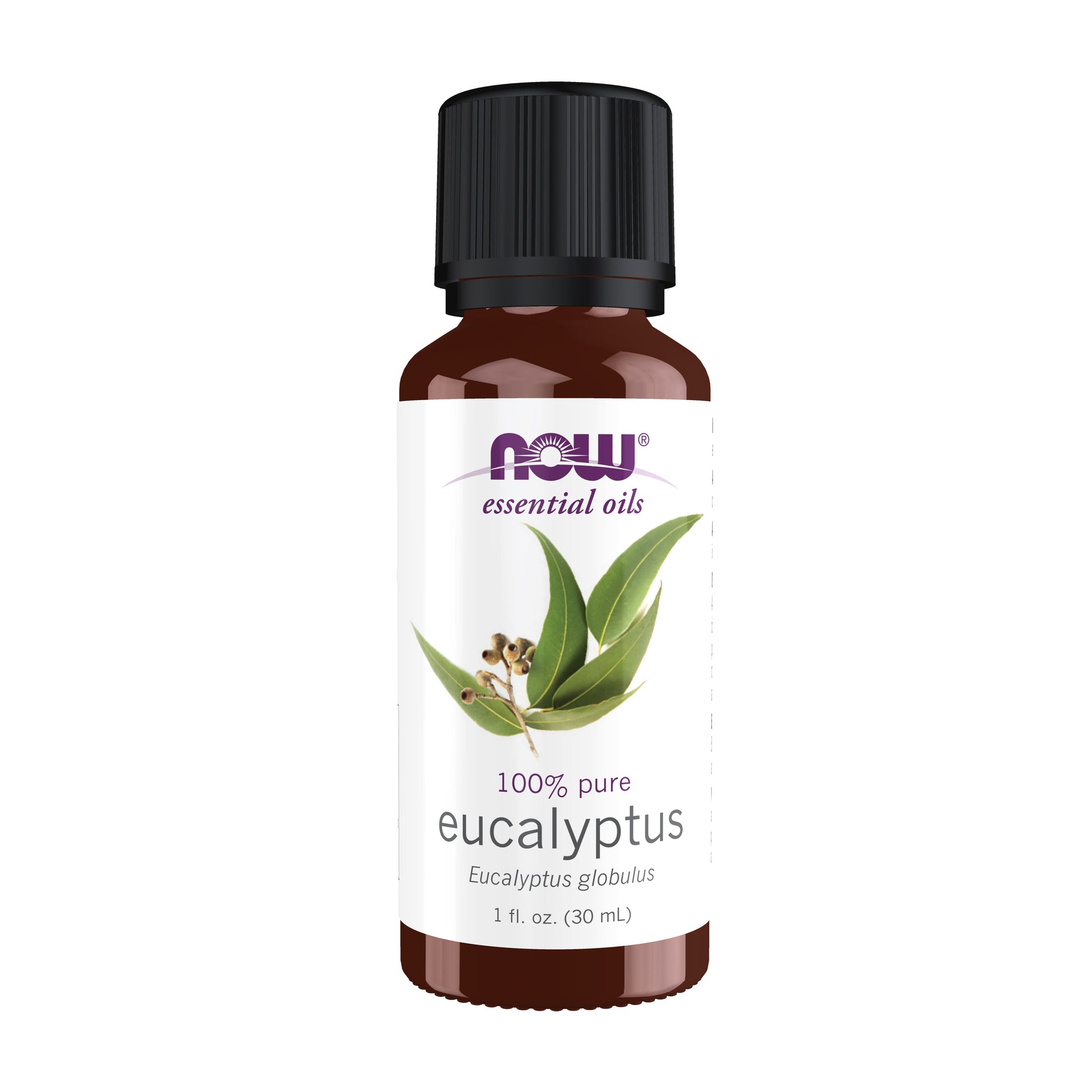 Eucalyptus Globulus Oil - 1 fl. oz.