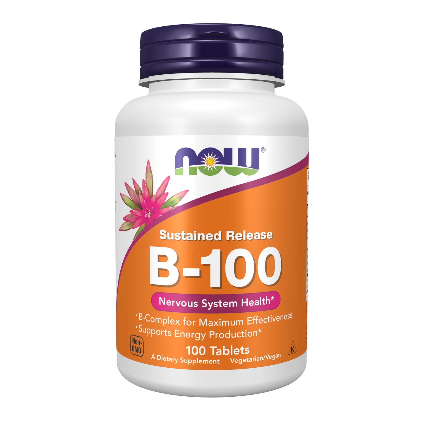 Vitamin B-100 Sustained Release - 100 Tablets