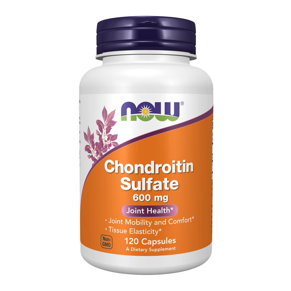 Chondroitin Sulfate 600 mg - 120 Capsules