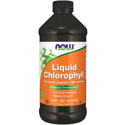 Chlorophyll Liquid, Mint – 16 fl. oz.