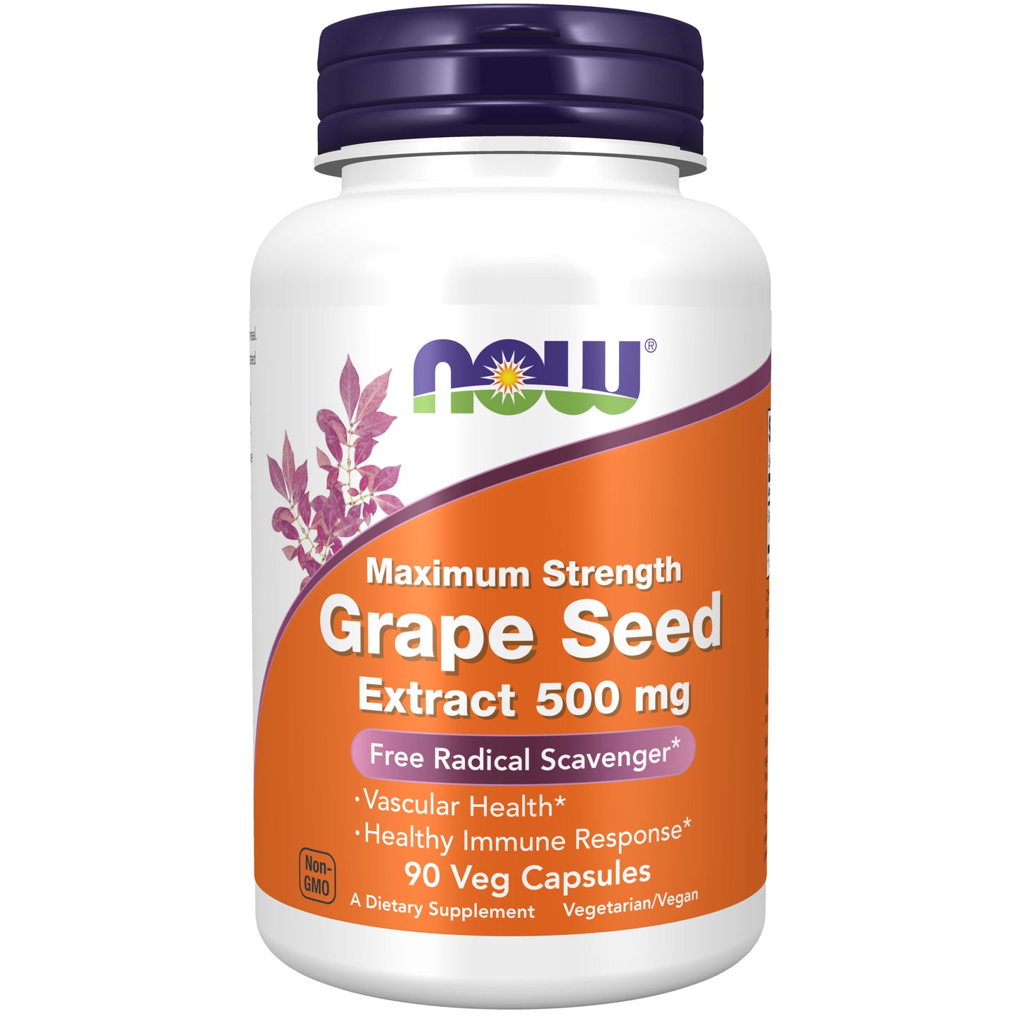 Grape Seed Extract, Maximum Strength 500 mg - 90 Veg Capsules